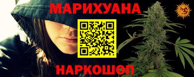 прущие грибы Азнакаево