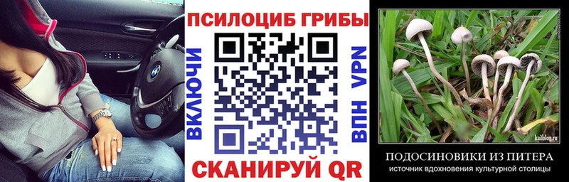 Галлюциногенные грибы Psilocybine cubensis  Югорск 