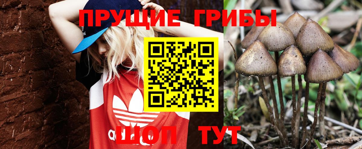 Псилоцибиновые грибы ЛСД  Псилоцибиновые грибы Magic Shrooms  Югорск  Вход с VPN 